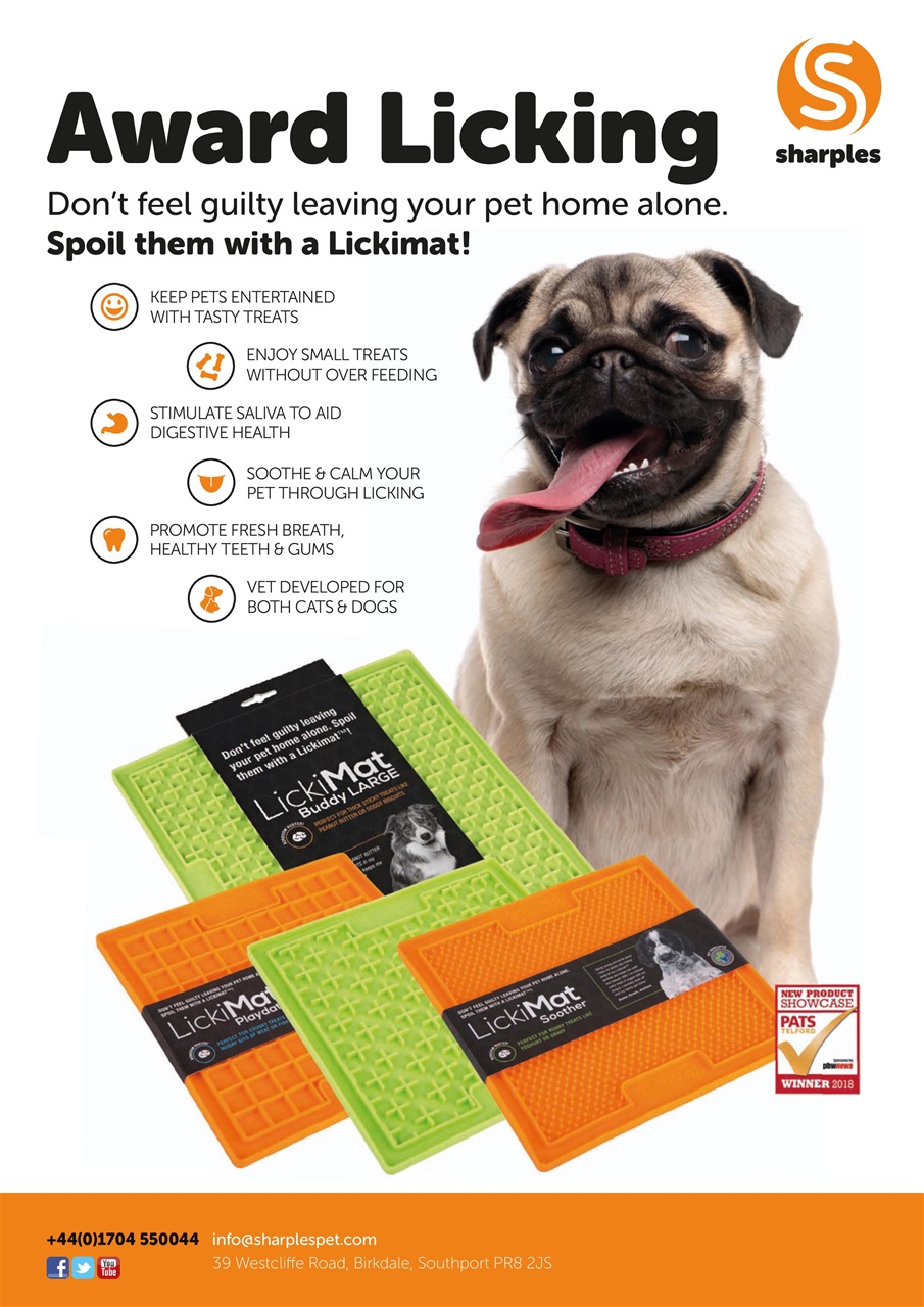 Dogs Today Magazine Preview Pages