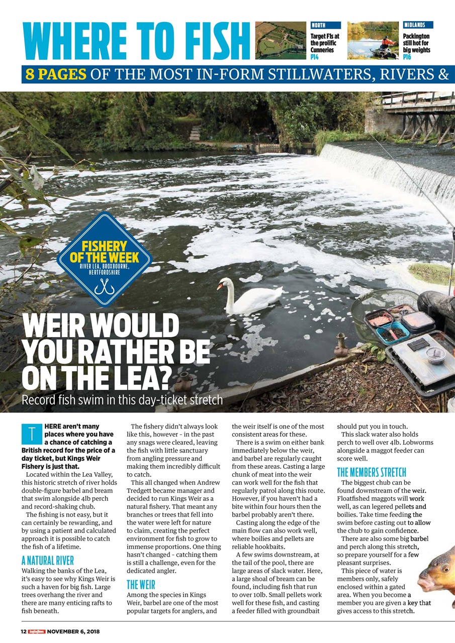 Angling Times Preview Pages