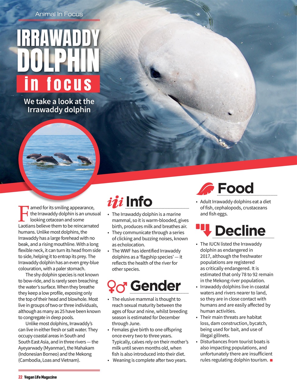 Vegan Life Preview Pages