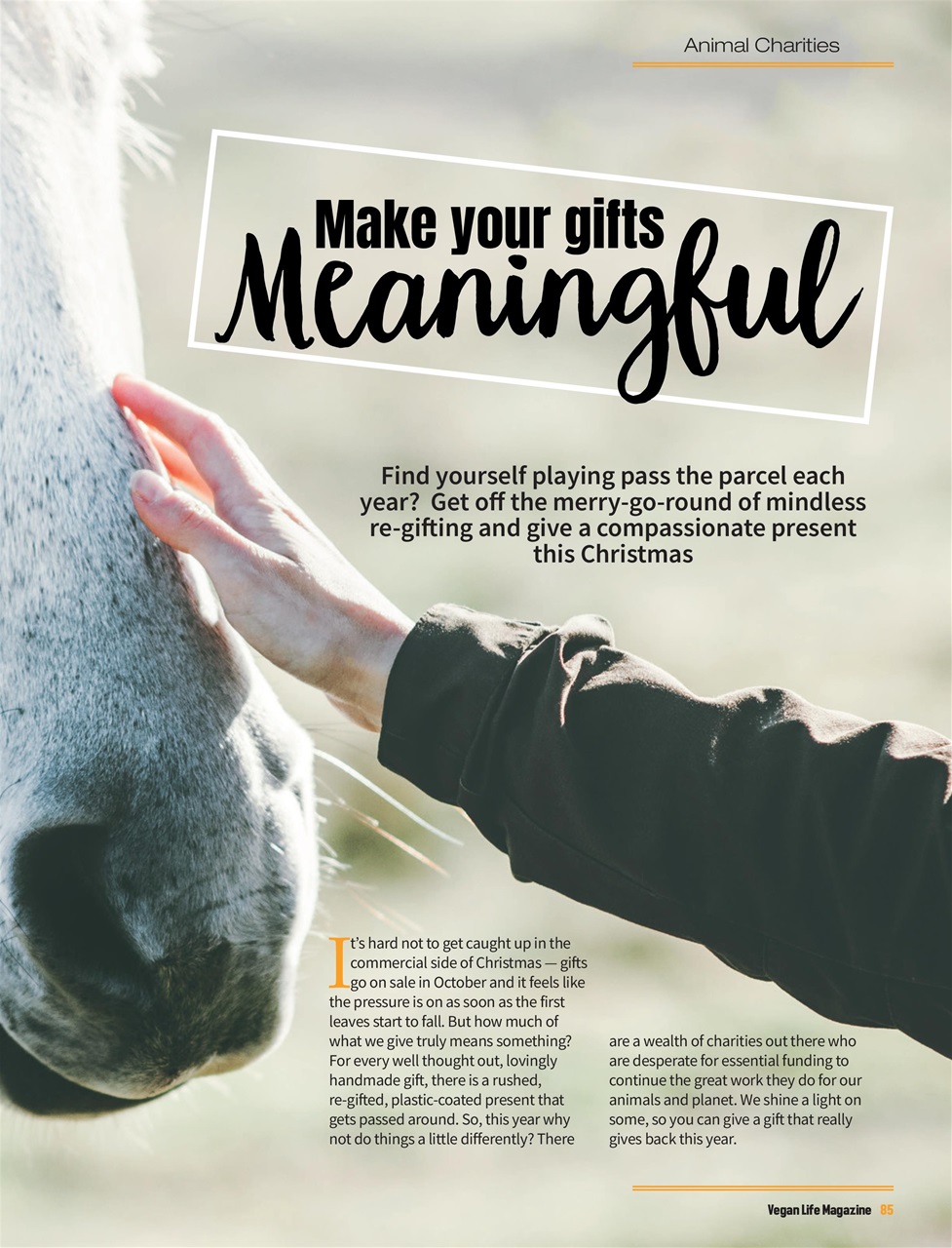 Vegan Life Preview Pages