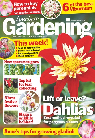 Amateur Gardening issue 10th November 2018