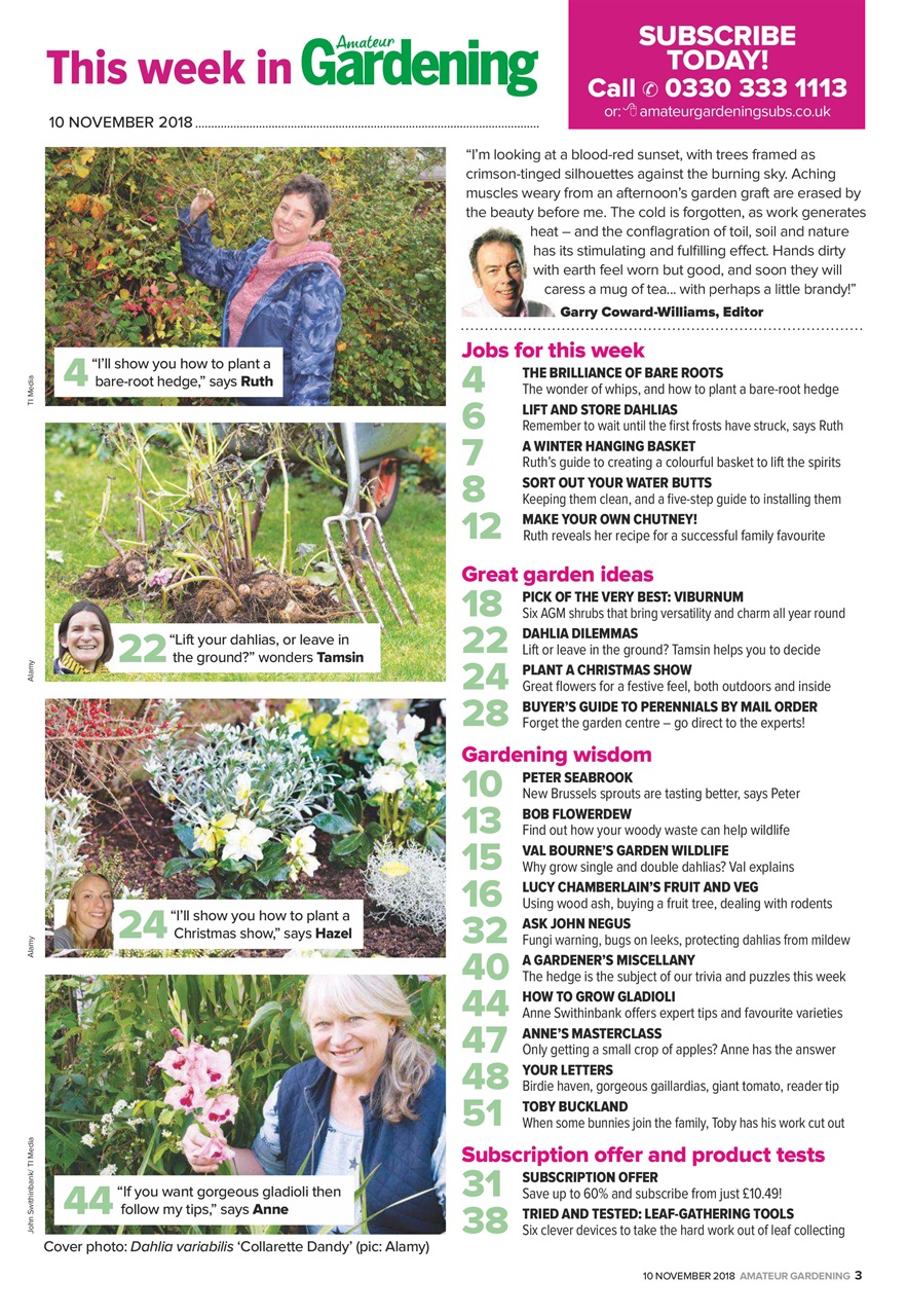 Amateur Gardening Preview Pages