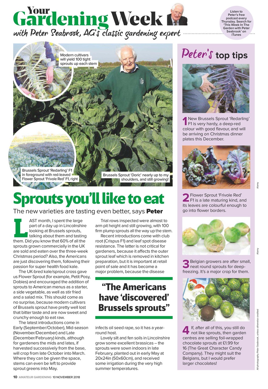 Amateur Gardening Preview Pages