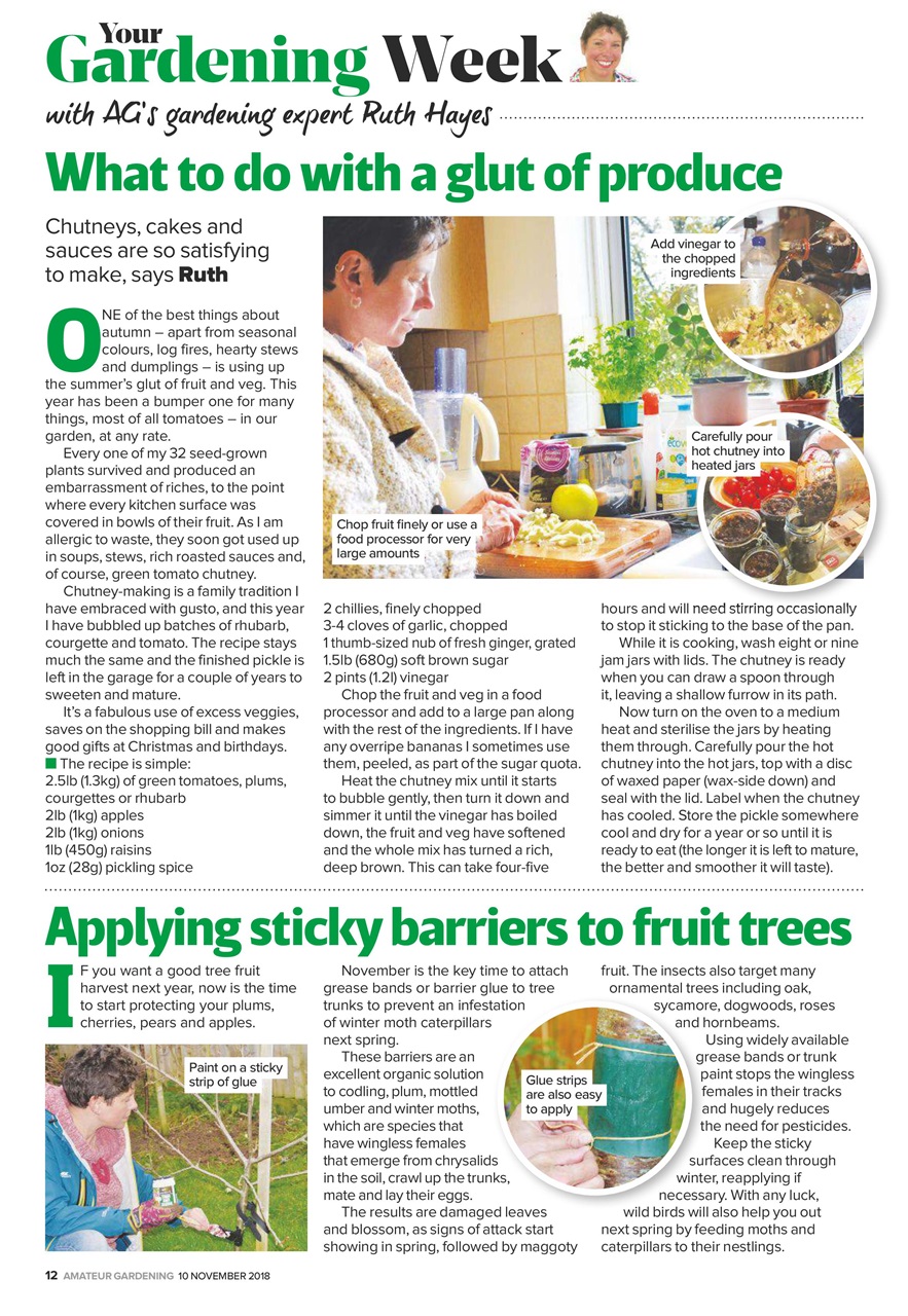 Amateur Gardening Preview Pages