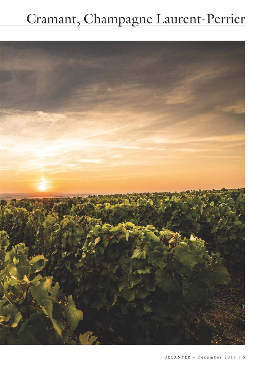 Decanter Preview Pages