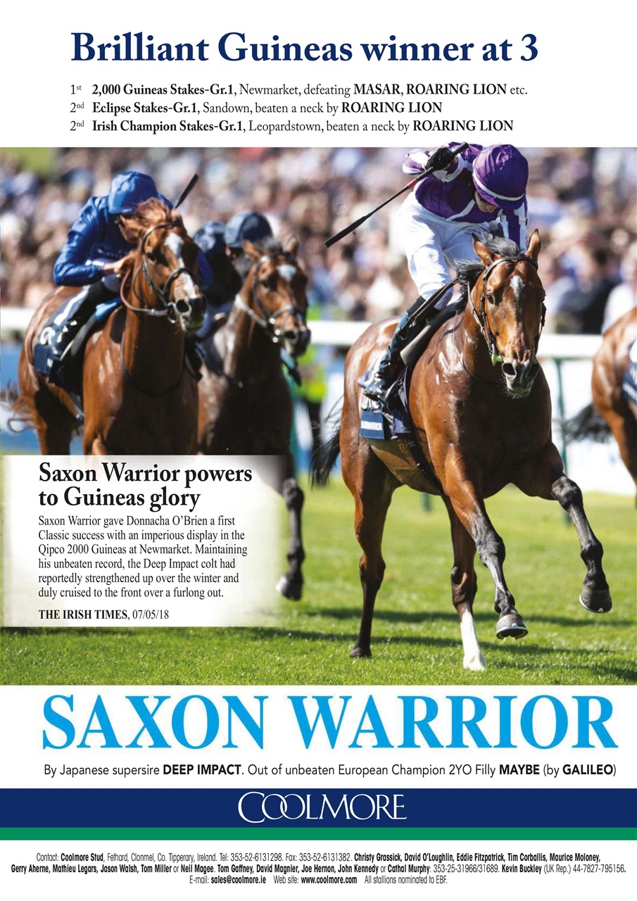 The Owner Breeder Preview Pages