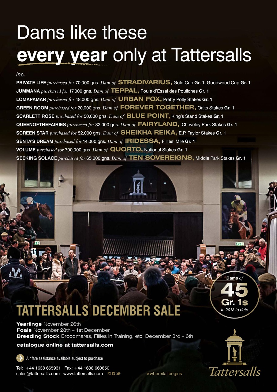 The Owner Breeder Preview Pages