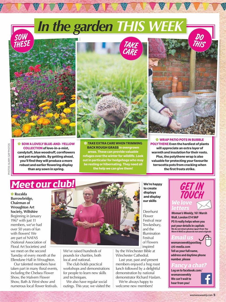 Woman's Weekly Preview Pages