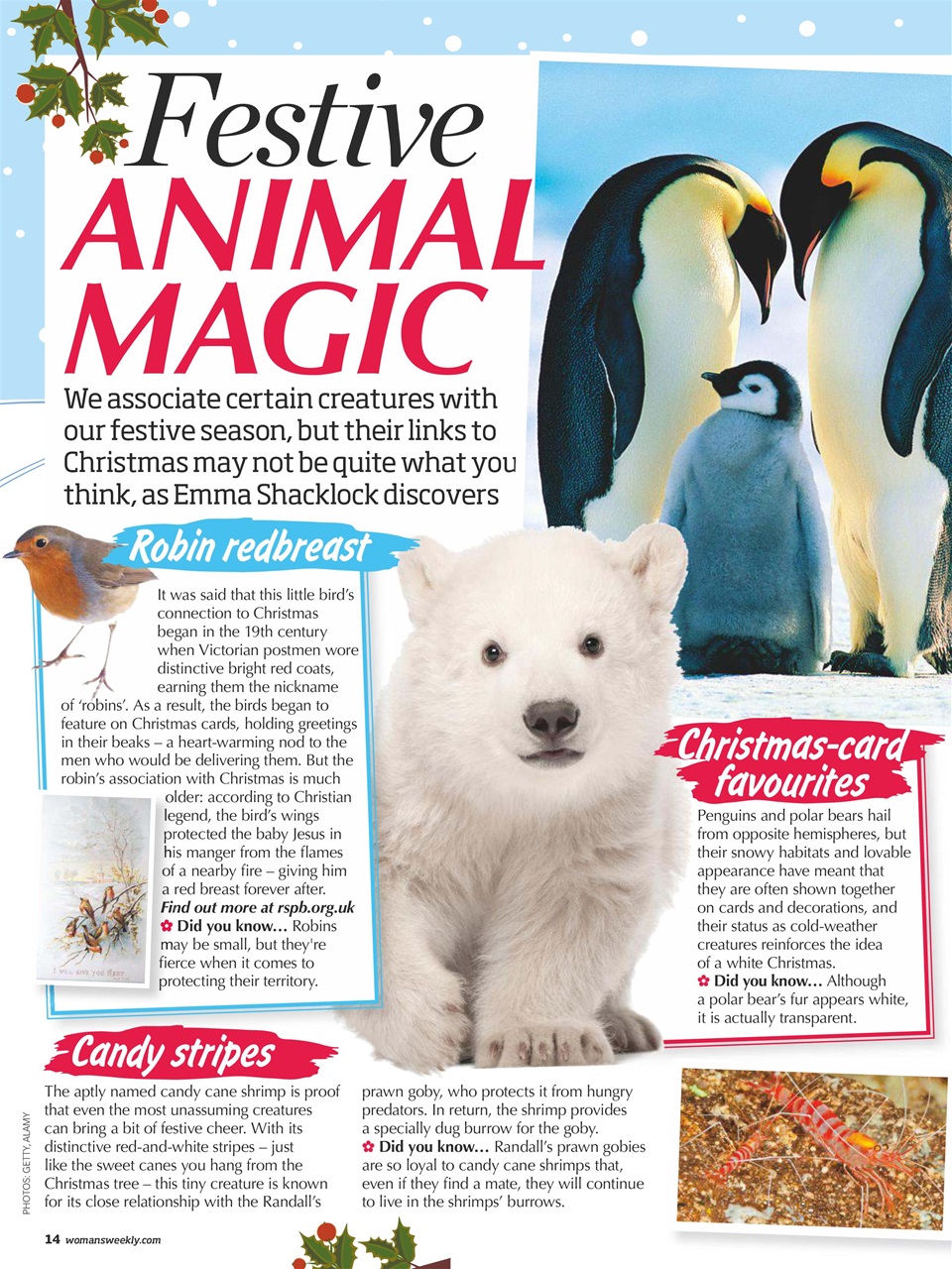 Woman's Weekly Preview Pages