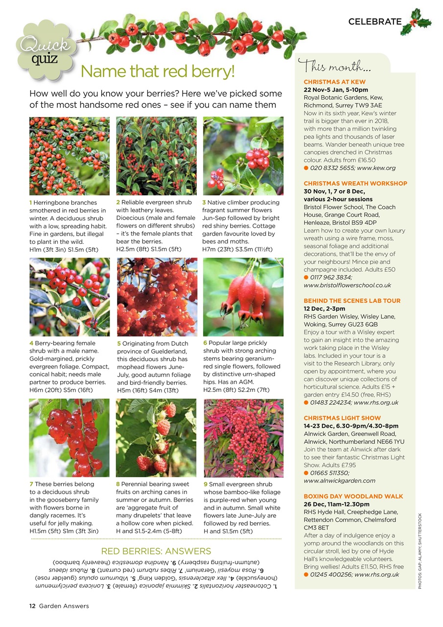 Garden Answers Preview Pages