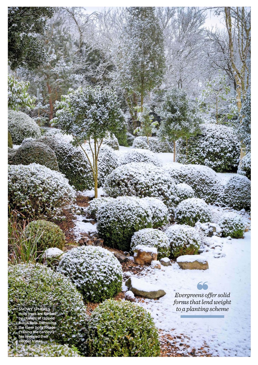 Garden Answers Preview Pages