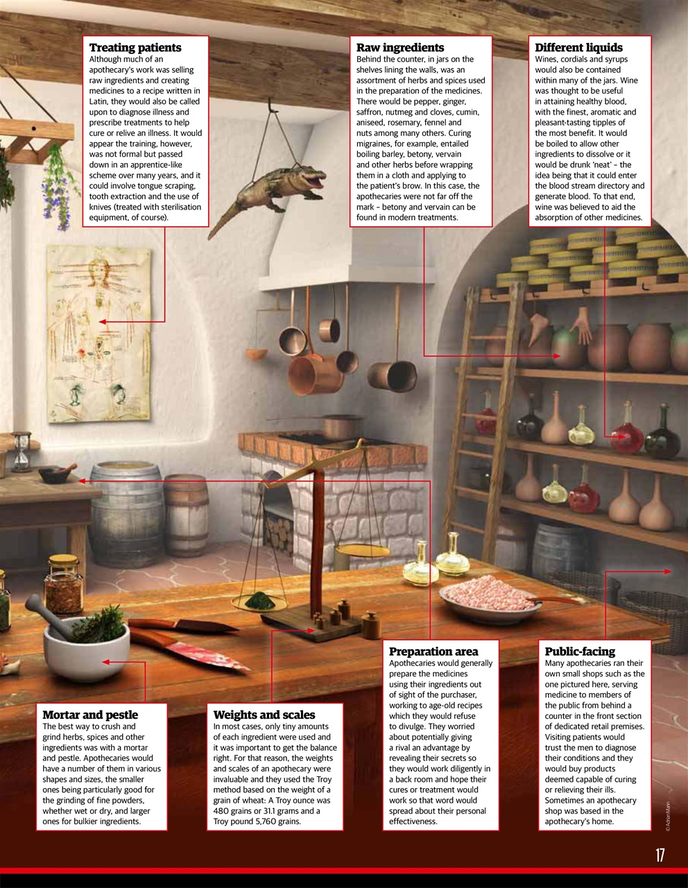 All About History Preview Pages