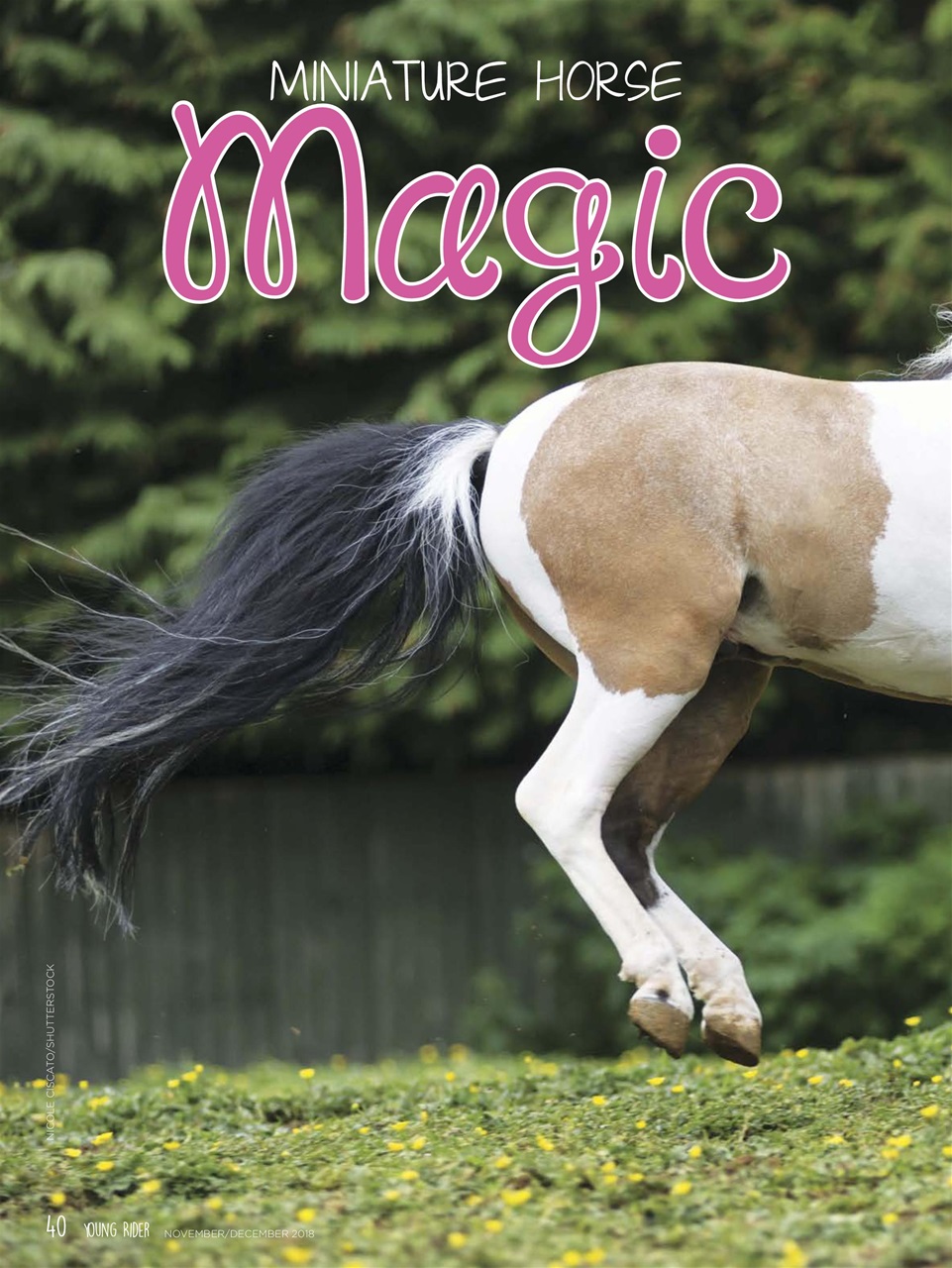 Young Rider Magazine Preview Pages