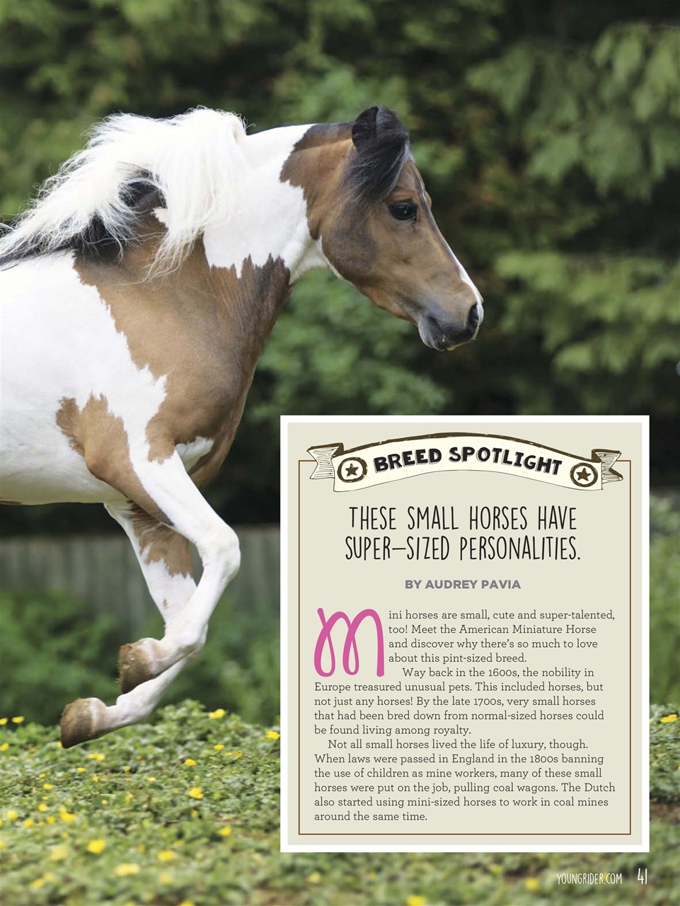 Young Rider Magazine Preview Pages