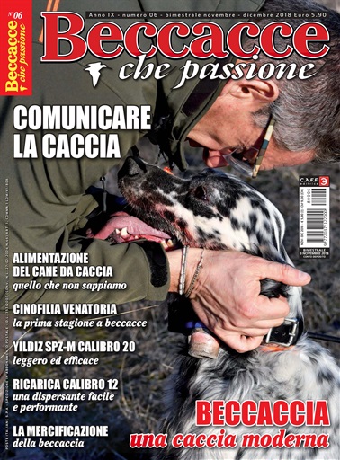 BECCACCE CHE PASSIONE issue 