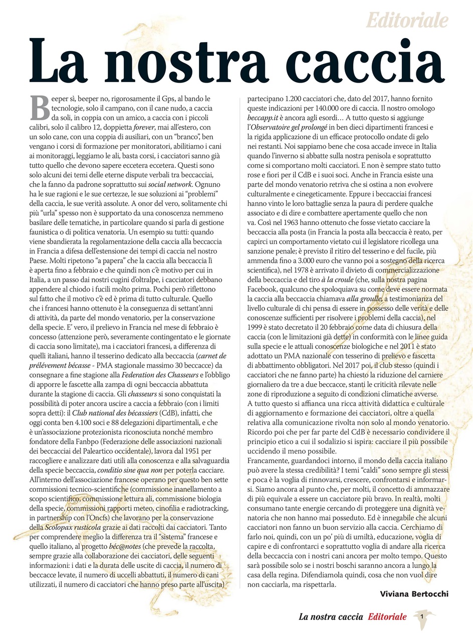 BECCACCE CHE PASSIONE Preview Pages