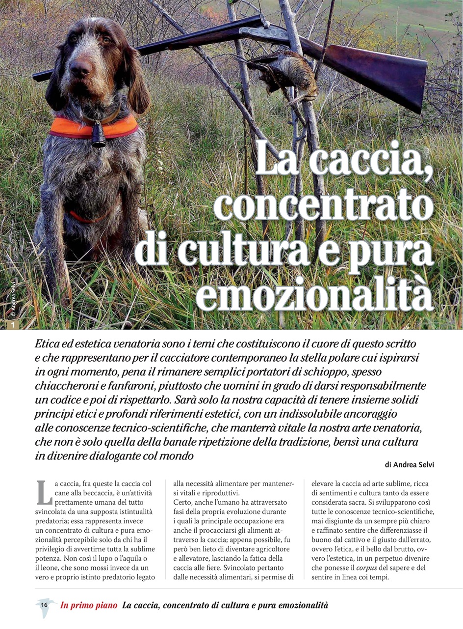 BECCACCE CHE PASSIONE Preview Pages