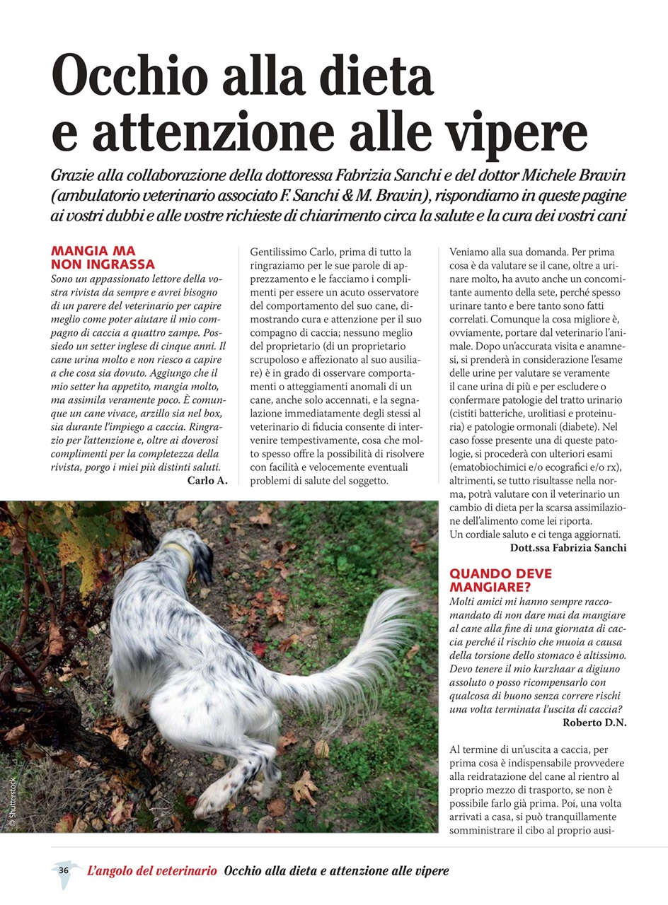 BECCACCE CHE PASSIONE Preview Pages