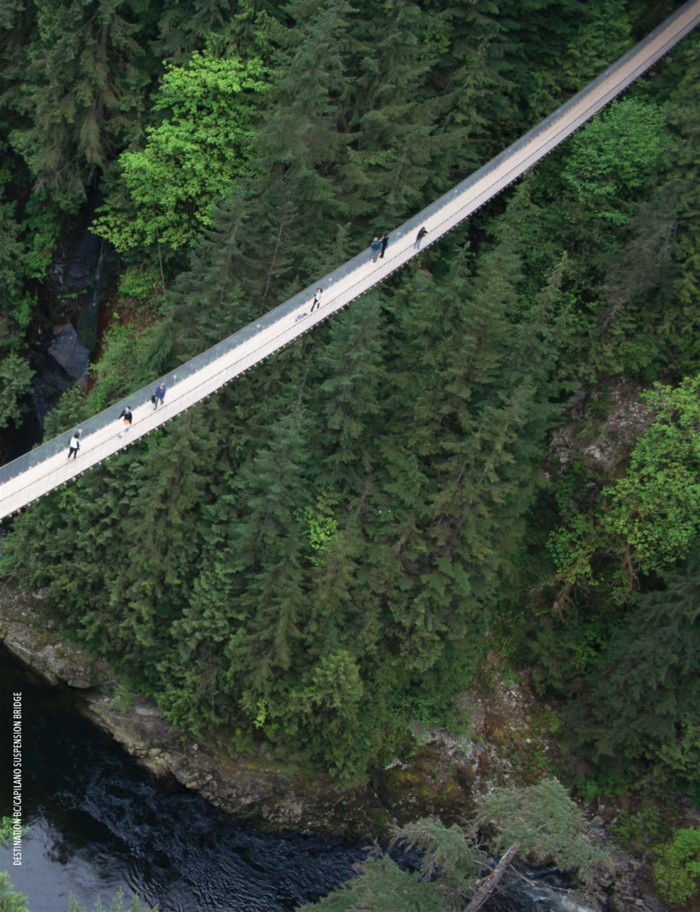 Snowbirds & RV Travelers Preview Pages