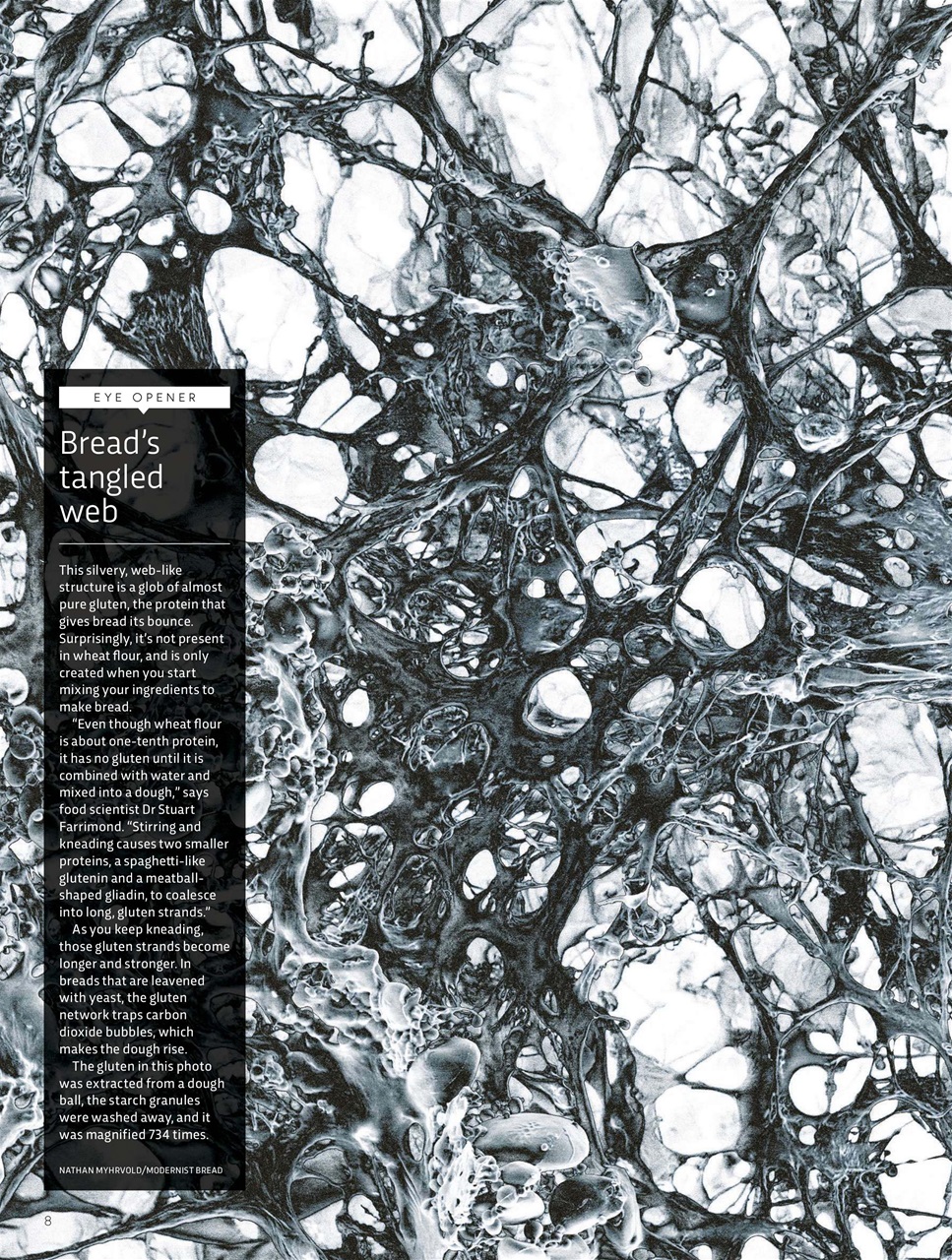 BBC Science Focus Magazine Preview Pages