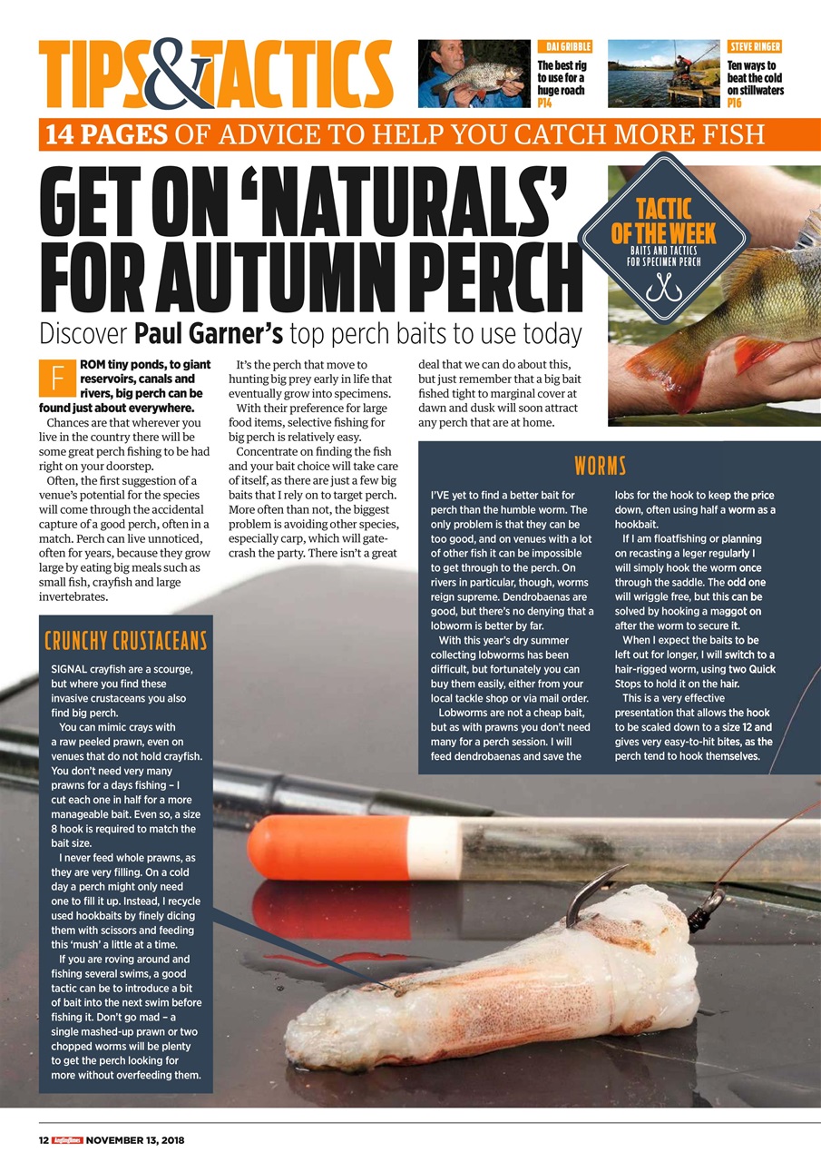 Angling Times Preview Pages