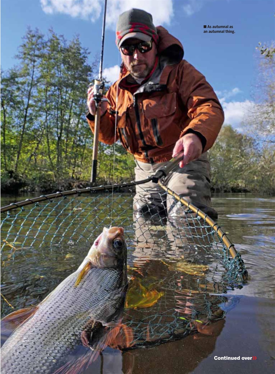 Anglers Mail Preview Pages