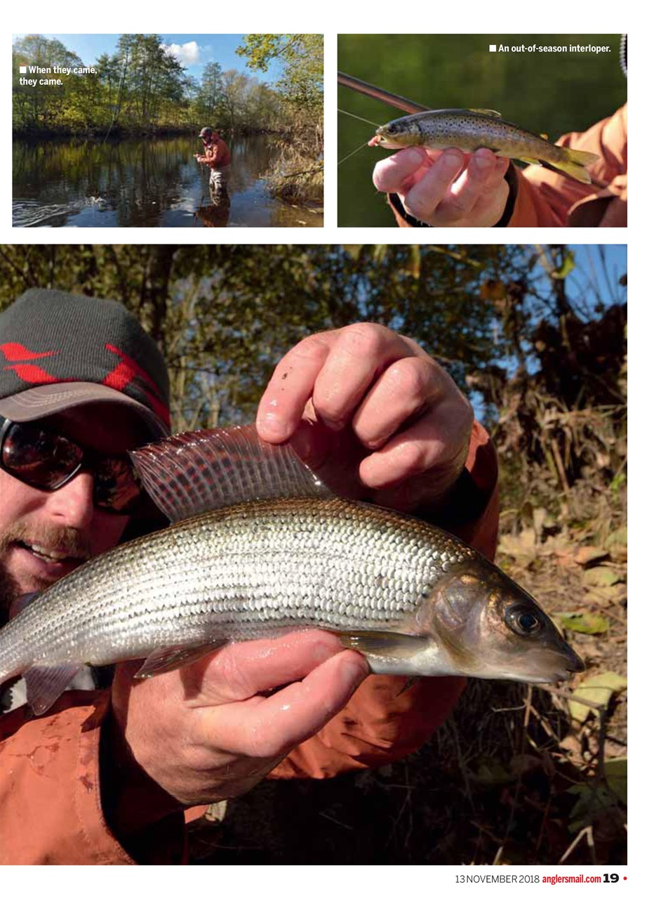 Anglers Mail Preview Pages