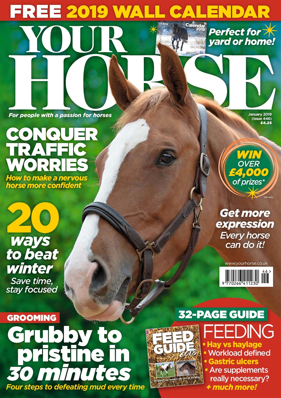 Your Horse Preview Pages