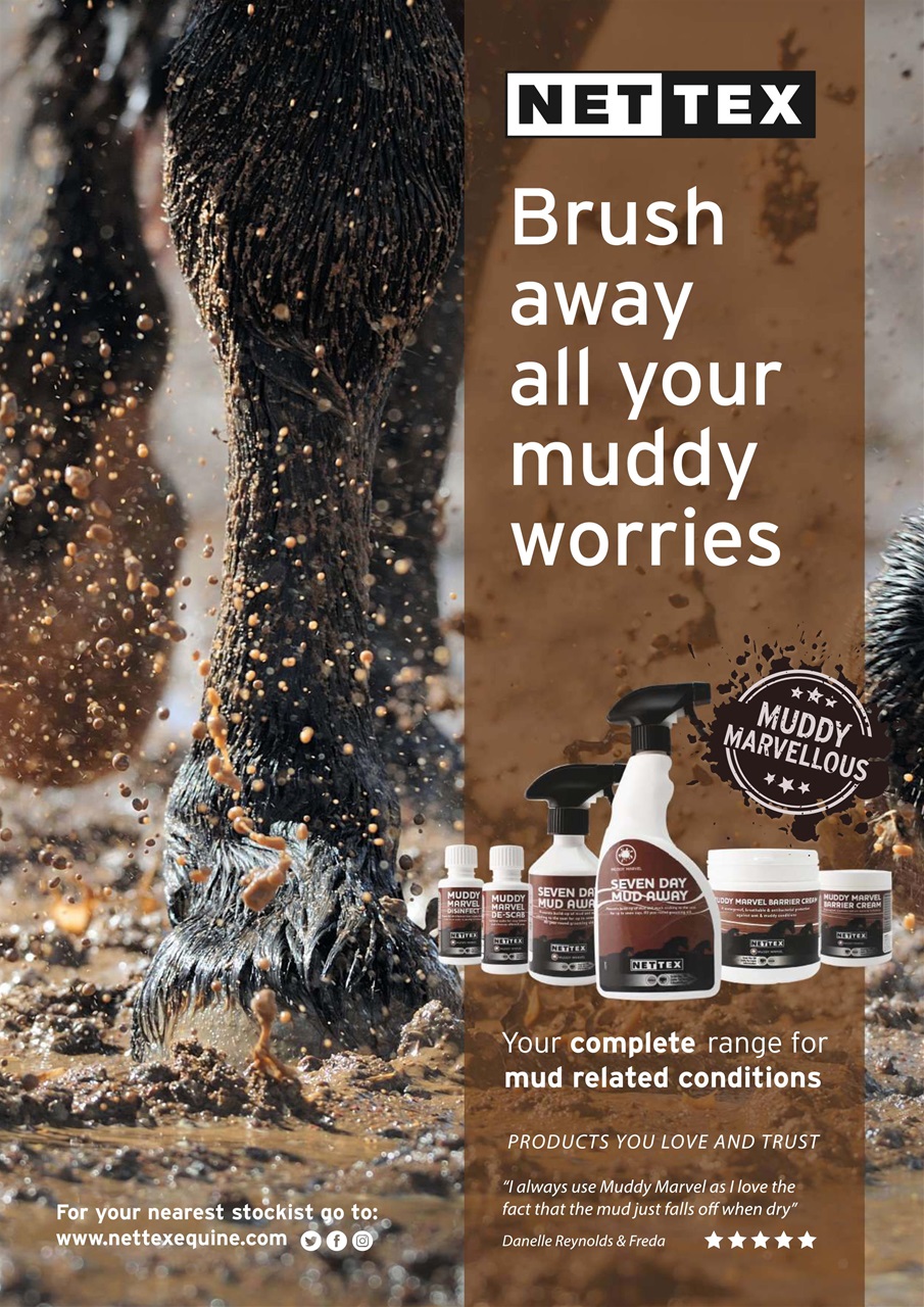 Your Horse Preview Pages