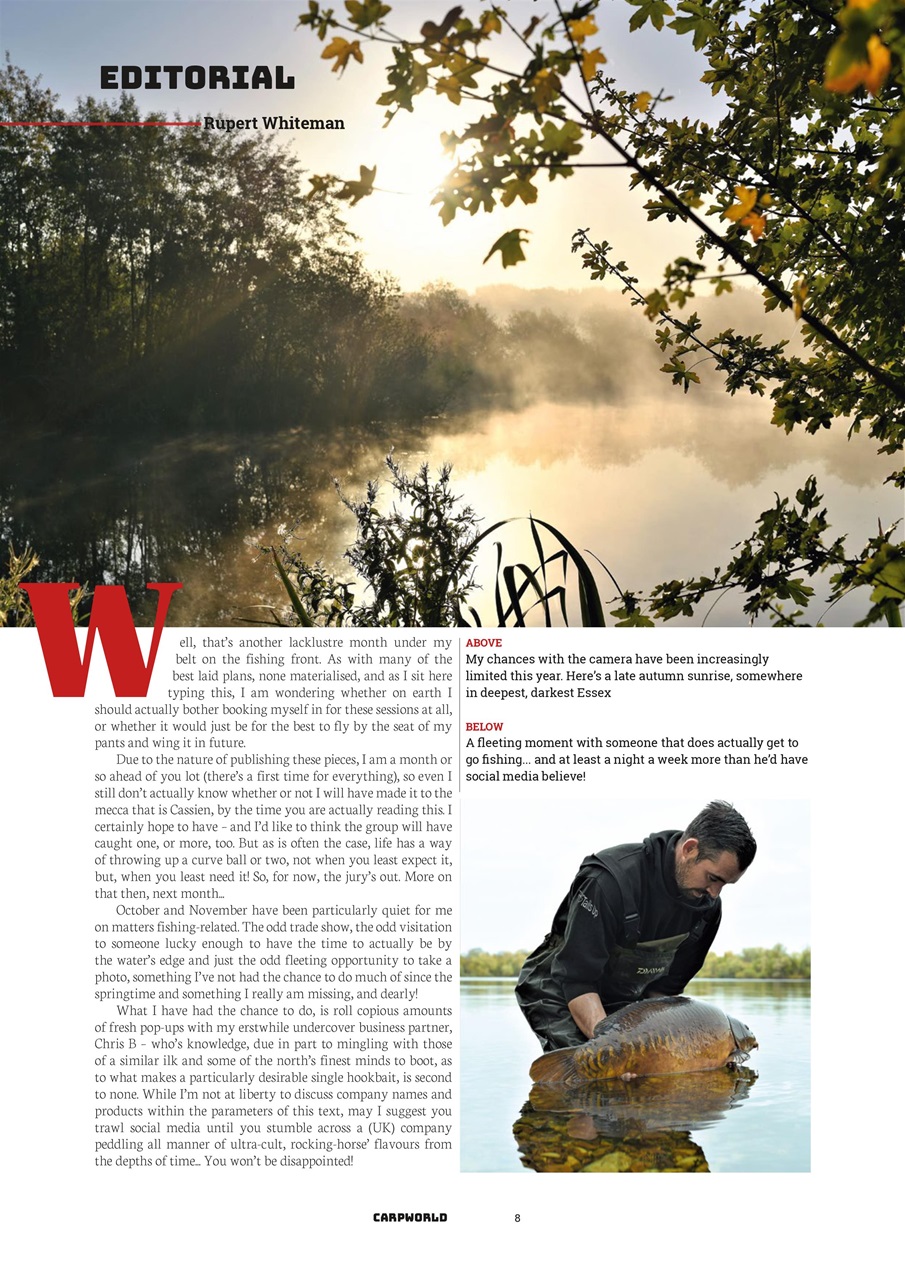 Carpworld Preview Pages