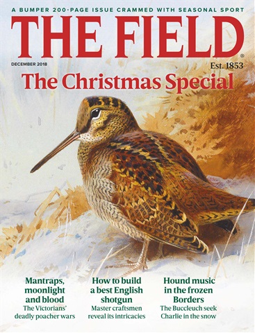 The Field issue December 2018