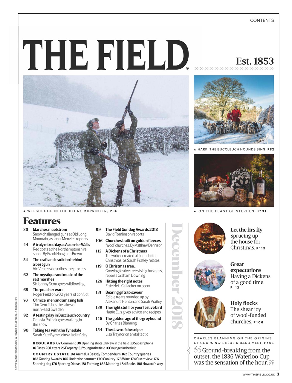 The Field Preview Pages