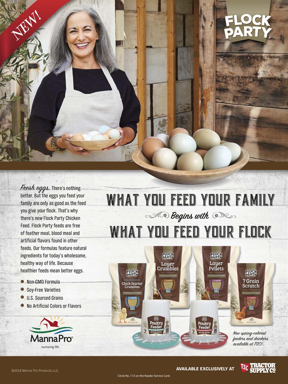 Chickens Magazine Preview Pages