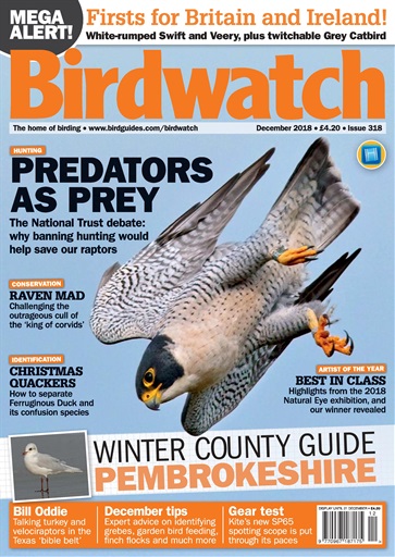 Birdwatch Magazine issue 