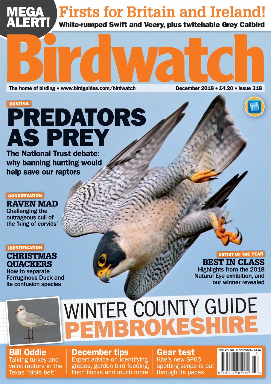 Birdwatch Magazine Preview Pages