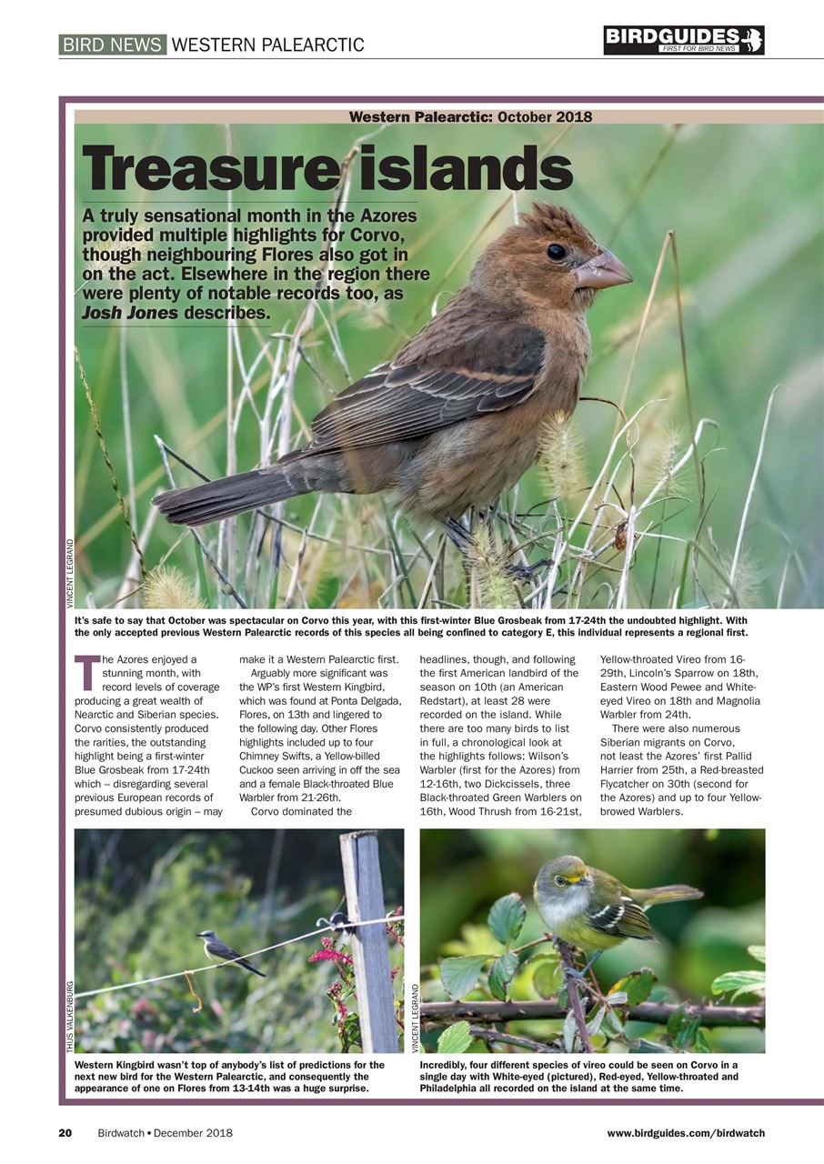Birdwatch Magazine Preview Pages