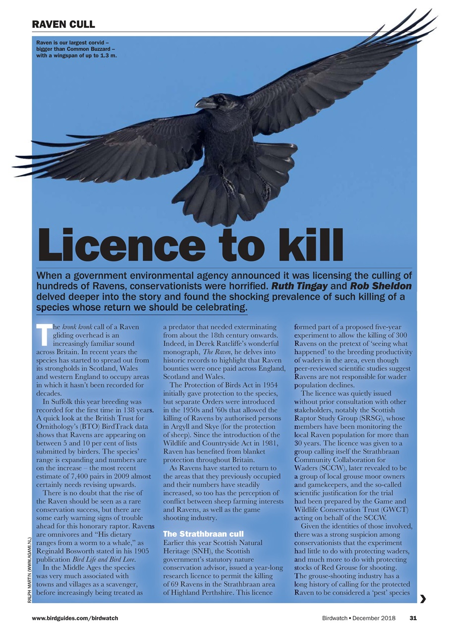 Birdwatch Magazine Preview Pages