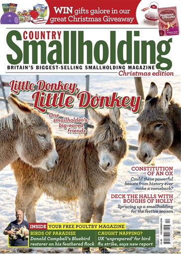 The Country Smallholder issue 