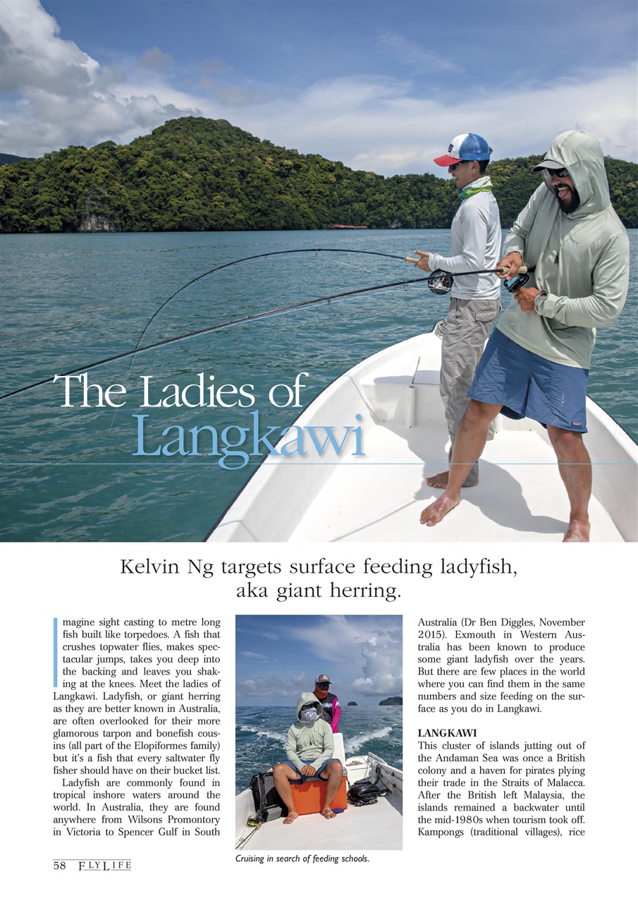 FlyLife Preview Pages
