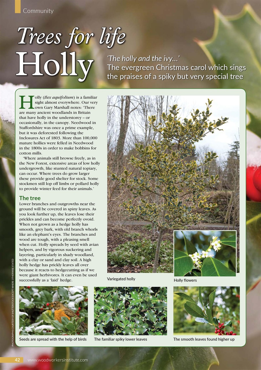 Woodworking Crafts Magazine Preview Pages