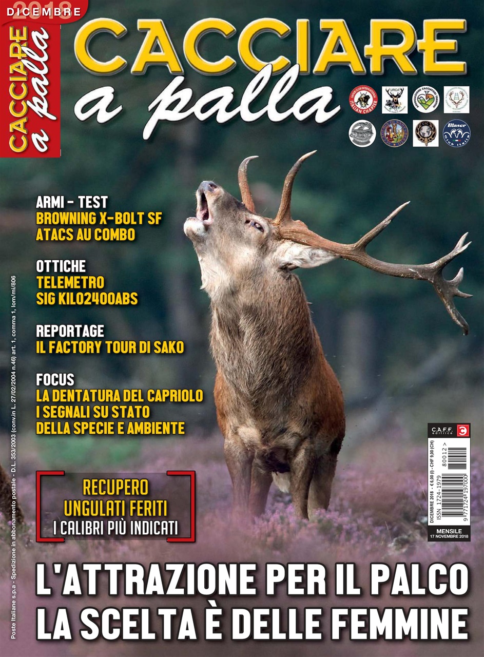 Caccia Magazine Preview Pages