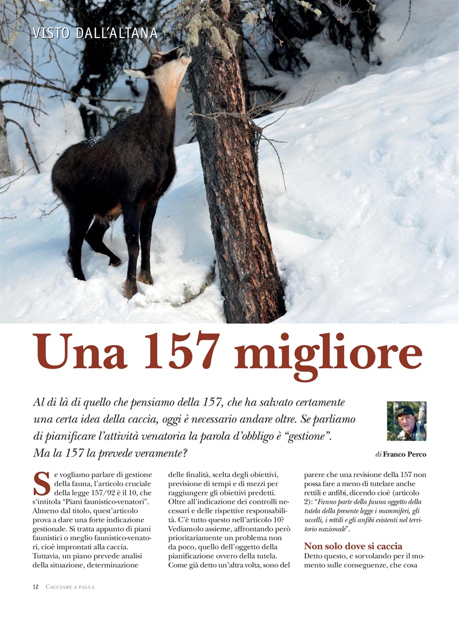 Caccia Magazine Preview Pages