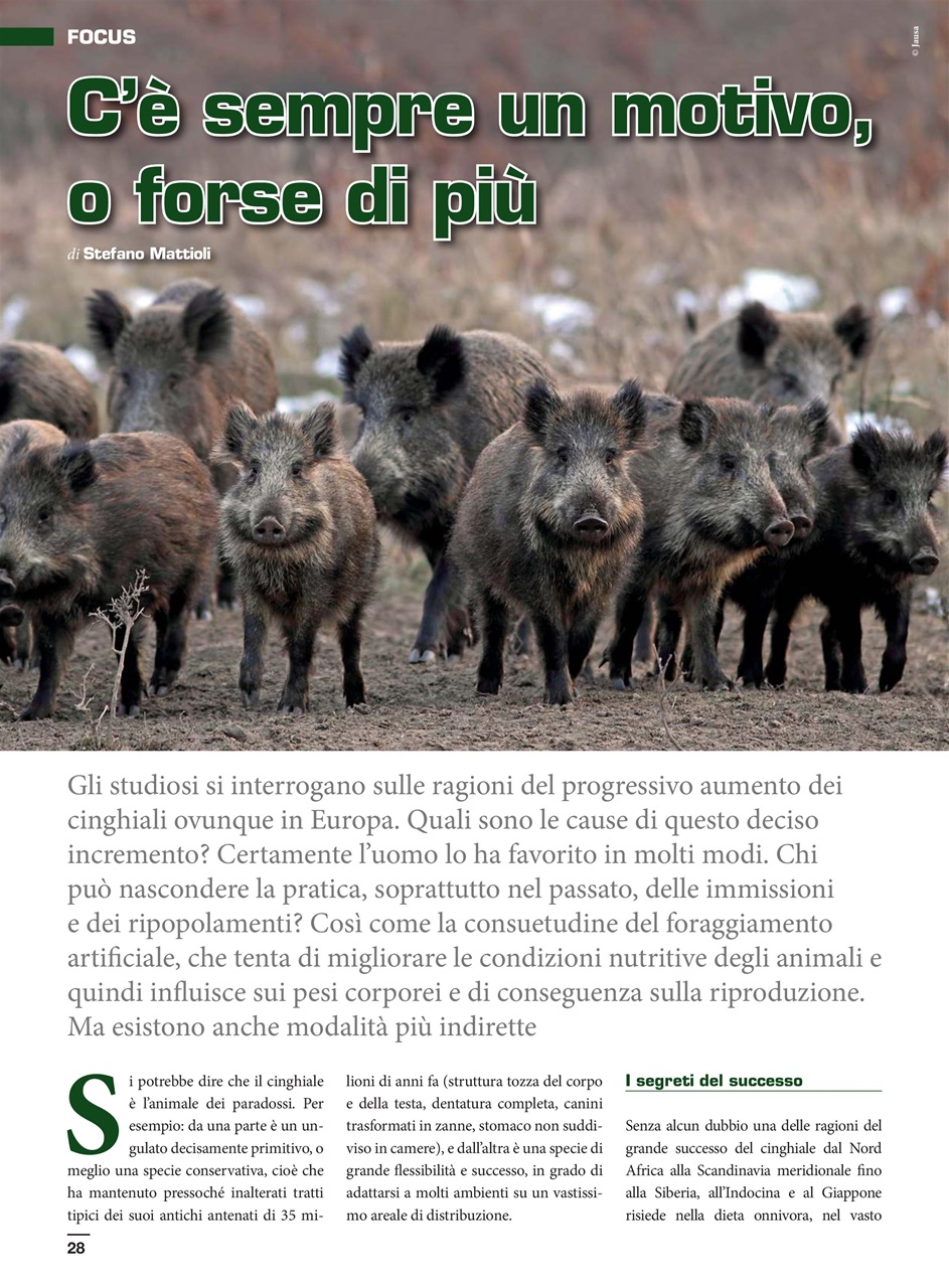 IL CINGHIALE CHE PASSIONE Preview Pages