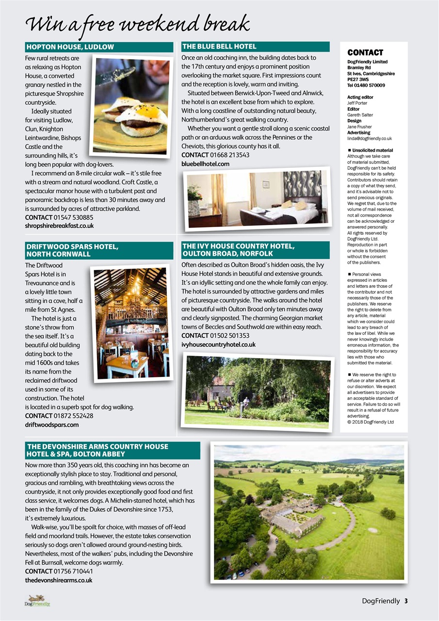 Dog Friendly Preview Pages