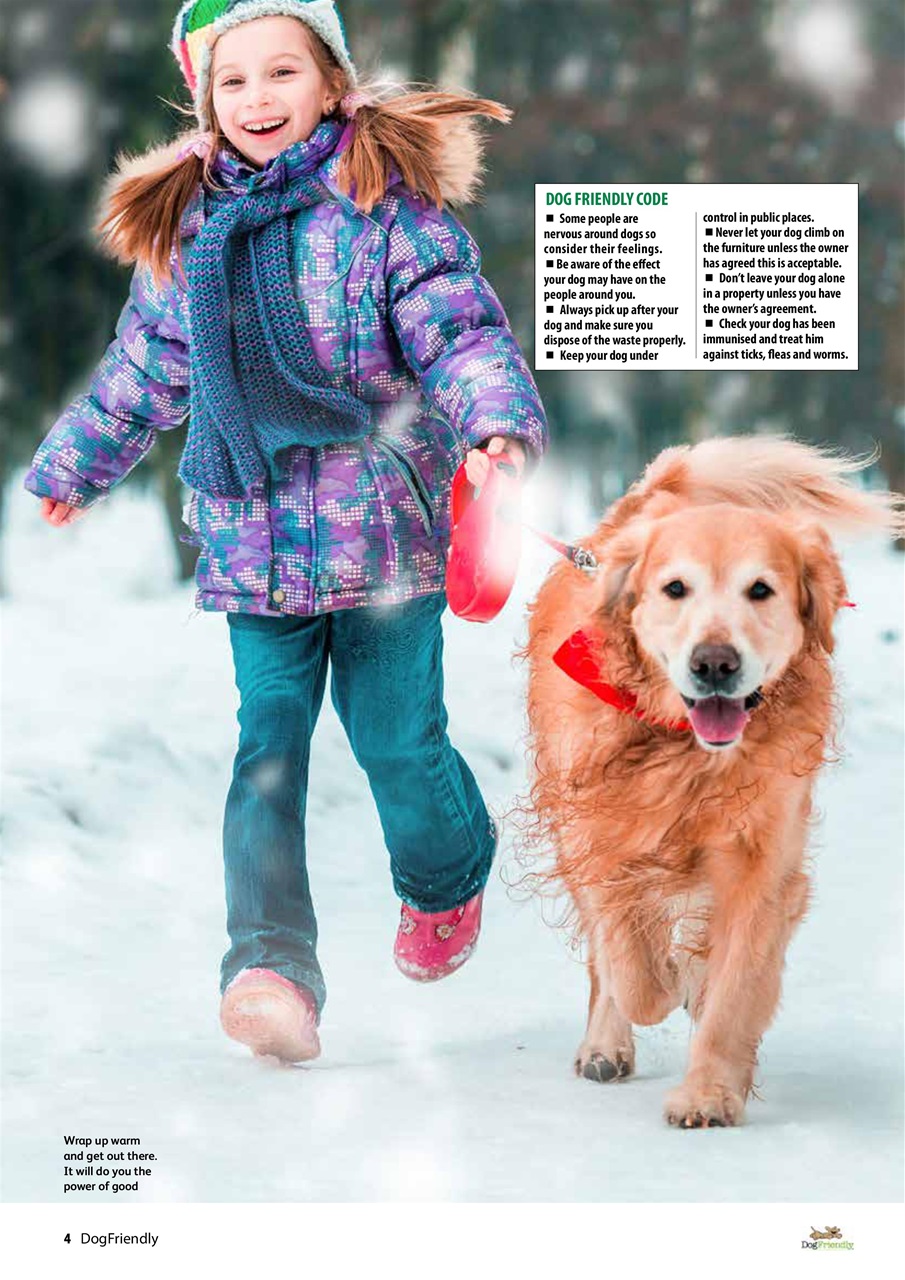 Dog Friendly Preview Pages