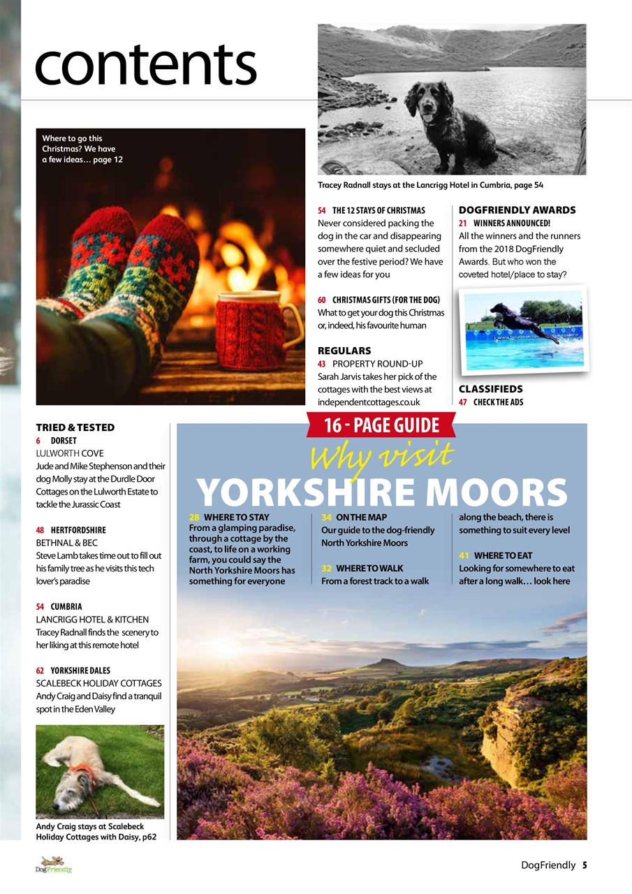 Dog Friendly Preview Pages