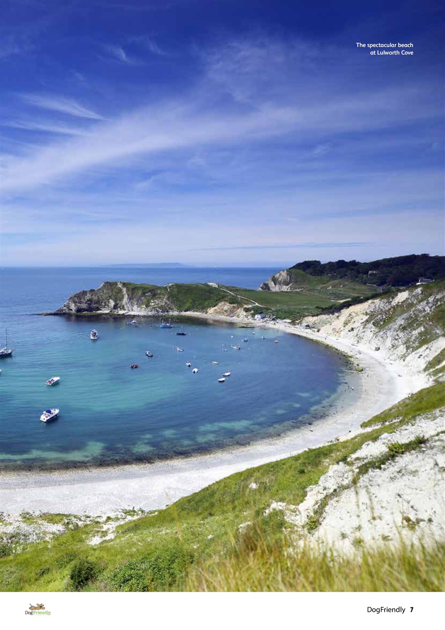 Dog Friendly Preview Pages