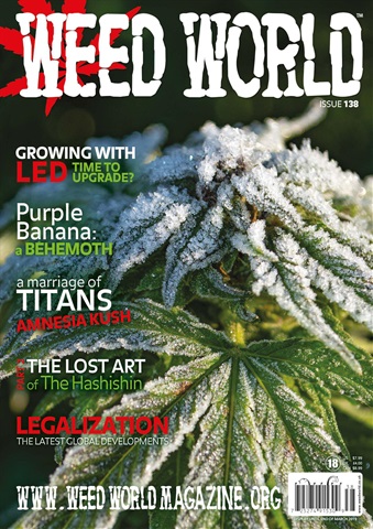 Weed World issue WW138