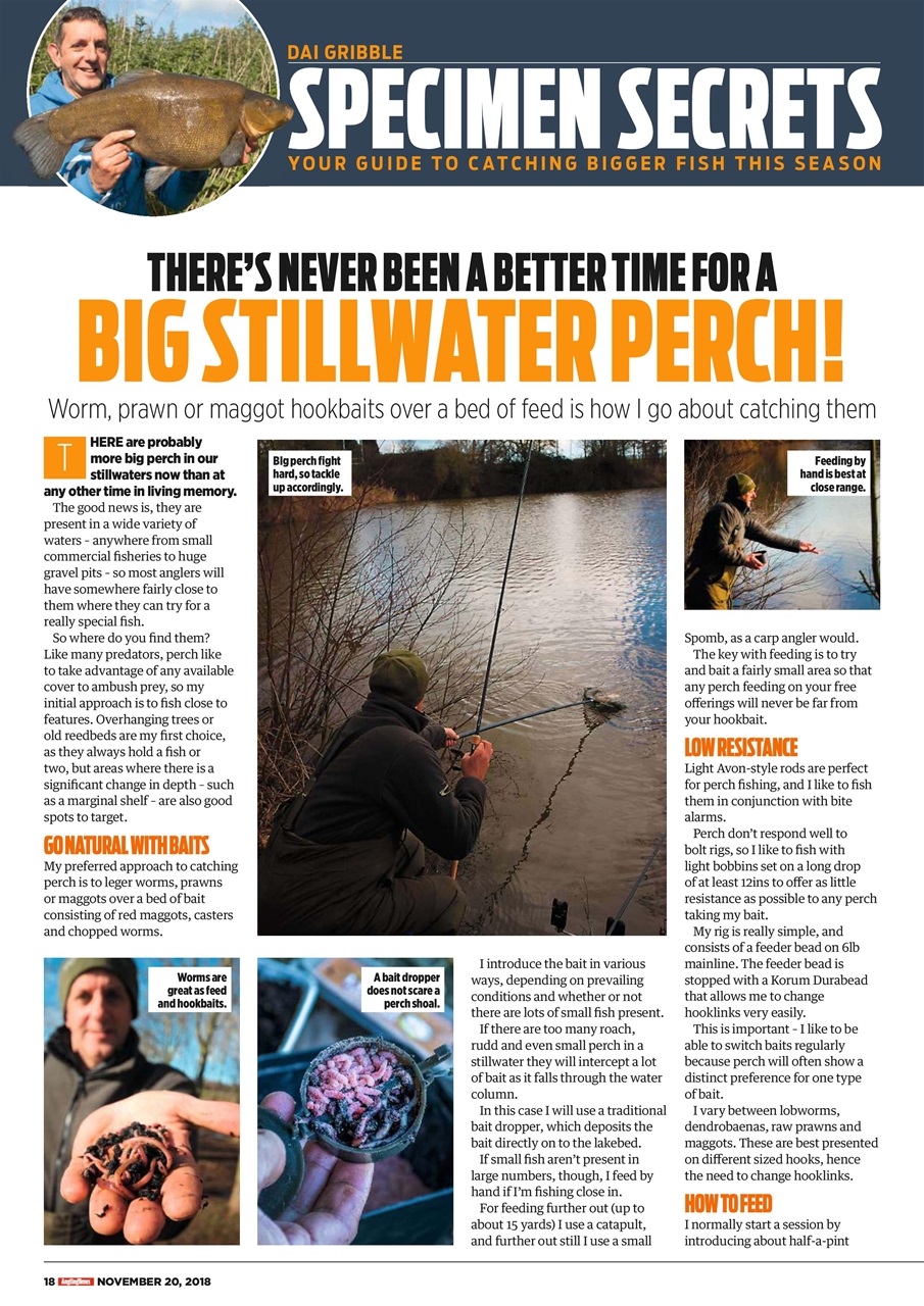 Angling Times Preview Pages
