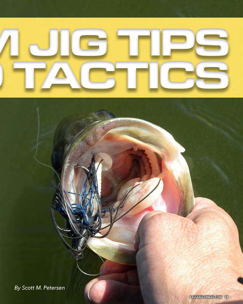 BASS ANGLER MAGAZINE Preview Pages